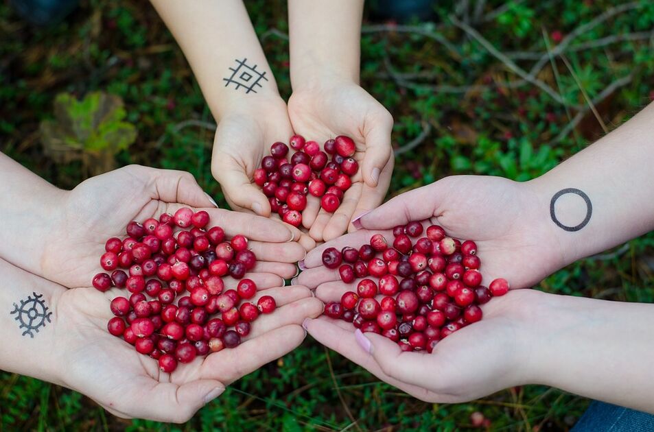 Cranberry para potência