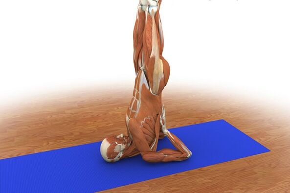 Exercício para potência “Birch”